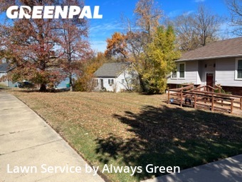 Lawn Cut nearby Overland Park, MO, 