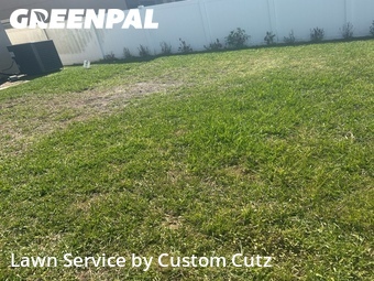 Lawn Cut nearby Clearwater, FL, 