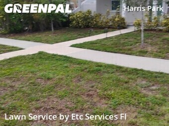 Lawn Cut nearby St. Petersburg, FL, 