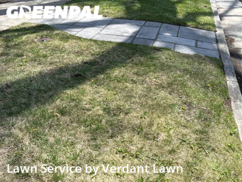 Lawn Cutting nearby Fort Collins, CO, 