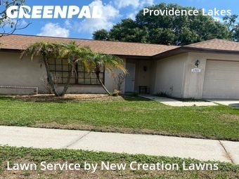 Yard Cutting nearby Brandon, FL, 