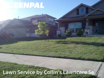 Grass Cut nearby Buda, TX, 