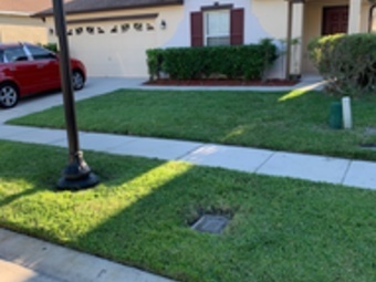 Lawn Mowing Contractor in Kissimmee, FL, 34741