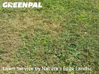 Lawn Service nearby Birmingham, AL, 