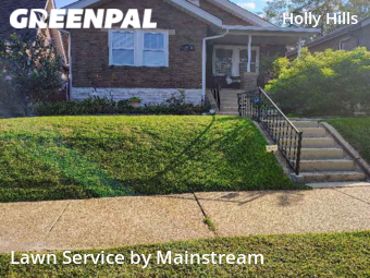 Lawn Cut nearby St. Louis, MO, 
