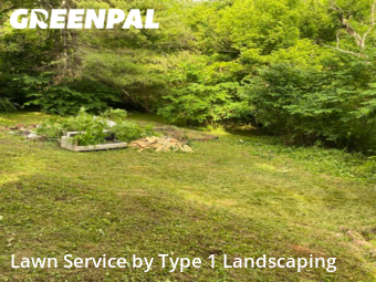 Yard Mowing nearby Candler, NC, 