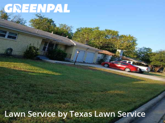 Lawn Carein Haltom City,76117,Lawn Care by Texas Lawn Service, work completed in Nov , 2025