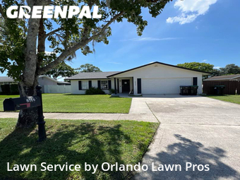 Grass Cutting nearby Union Park, FL, 