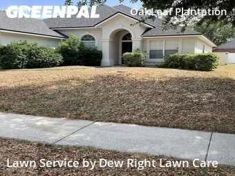 Yard Mowing nearby Orange Park, FL, 