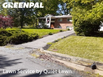 Yard Upkeep in Annandale, 22003, Yard Work by Quickscape , work completed in Nov , 2025