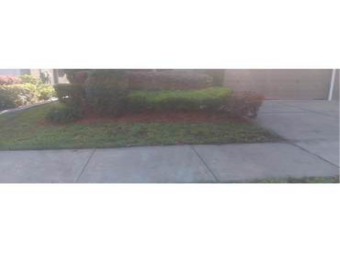 Lawn Mowing Service nearby Brandon, FL, 