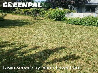 Lawn Care Service nearby Albany, OR, 