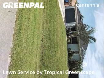 Lawn Care Service nearby Lehigh Acres, FL, 