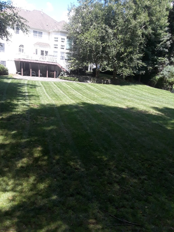 Deesign Landscape Lawn Care Services in Ellendale, DE