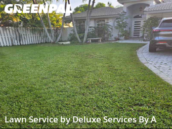 Lawn Cuttingin Sunrise,33351,Grass Cut by Deluxe Services By A, work completed in Dec , 2025
