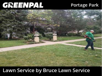 Lawn Maintenancein Oak Park,60302,Grass Cut by Bruce Lawn Service, work completed in Dec , 2025