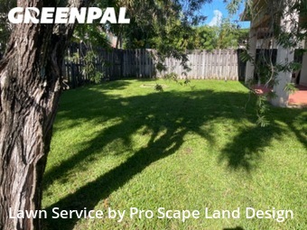 Yard Cutting nearby Davie, FL, 