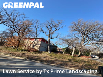 Lawn Mow nearby Euless, TX, 