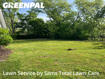 Lawn Care Service nearby Chattanooga, TN, 