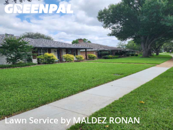 Lawn Care Servicein Richardson,75080,Lawn Care Service by MALDEZ RONAN, work completed in Dec , 2025