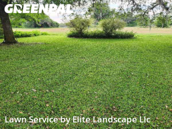 Lawn Care nearby Haines City, FL, 