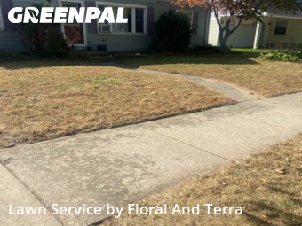 Lawn Maintenance nearby St. Clair Shores, MI, 
