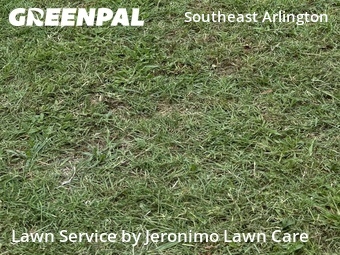 Lawn Cut nearby Crowley, TX, 