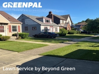 Grass Cut nearby Taylor, MI, 