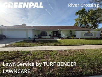 Yard Mowing nearby New Port Richey, FL, 