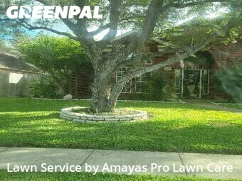 Yard Cutting nearby Corpus Christi, TX, 