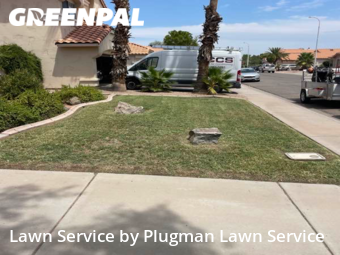 Yard Cutting nearby Chandler, AZ, 