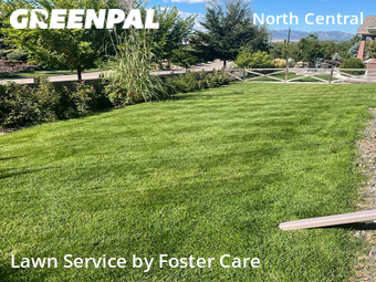 Yard Cutting nearby Westminster, CO, 