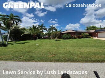 Lawn Care nearby Cape Coral, FL, 