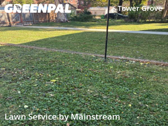 Lawn Care nearby St. Louis, MO, 