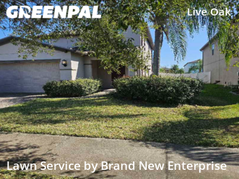 Grass Cut nearby Tampa, FL, 