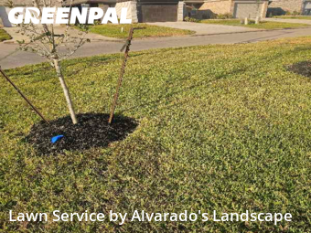 Grass Cutin Conroe,77306,Lawn Mowing by Alvarado's Landscape, work completed in Feb , 2026