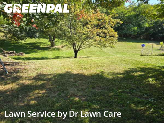 Yard Cutting nearby Roanoke, VA, 