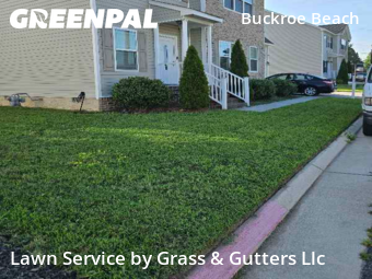 Lawn Mow nearby Hampton, VA, 