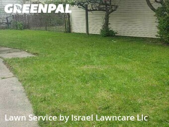 Grass Cut nearby Detroit, MI, 