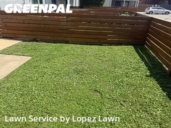 Yard Cuttingin Irving,75060,Yard Cutting by Lopez Lawn, work completed in Jun , 2026