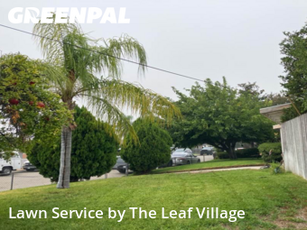 Work completed by grass-trimming-service-in-Colton-CA