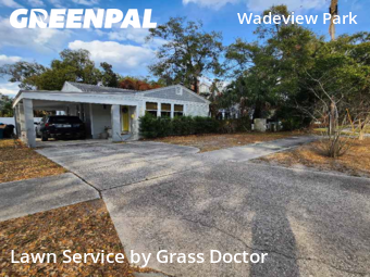 Modern Landscaping In Orlando,32806,Landscaping Renovation by Grass Doctor, work completed in Mar , 2026