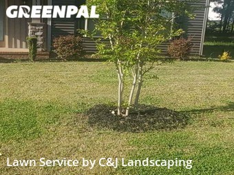 Lawn Mowing Service nearby Duncan, SC, 