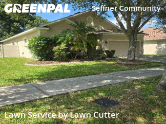 Grass Cutting nearby Seffner, FL, 