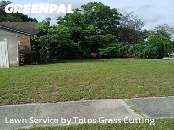 Lawn Servicein Ocoee,34761,Grass Cutting by Totos Grass Cutting, work completed in Jun , 2026