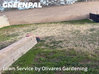 Residential Landscaping In Palmdale,93550,Landscaping Cleanup by Olivares Gardening , work completed in Feb , 2026