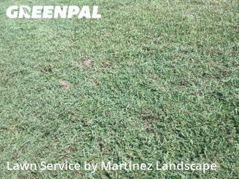 Yard Mowing nearby Clermont, FL, 