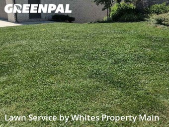 Lawn Mowing nearby Tennessee, TN, 