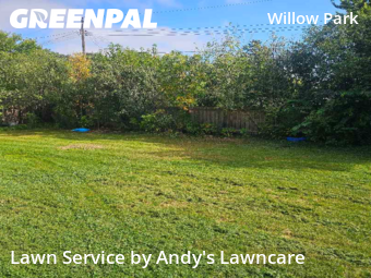 Grass Services in St. Louis Park, 55426, Yard Maintenance by Andy's Lawncare, work completed in Oct , 2025