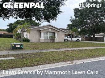 Grass Cut nearby Riverview, FL, 